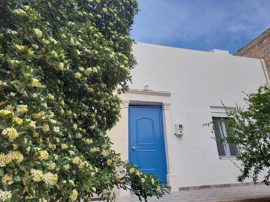 Вилла Lion'S House Kalymnos Town Экстерьер фото